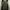 Military Coat Jacket photo 1