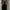 Military Coat Jacket photo 5