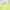 T-shirt MLB Cleveland Indians Color Lime photo 2