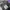 ADIDAS X NEIGHBORHOOD HIGH BLACK , ADIDAS X NEIGHBORHOOD HIG photo 8