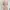 Peach Lilac Floral Wrap Dress Sifon Korea| Brand Clovis