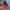 Jacket colourblock TNF kids photo 2