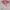 Jaket Descente Original – Koleksi Fashion Winter Langka photo 1