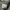Hoodie everlast photo 3