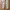 WRANGLER Jeans Warna khakis photo 2