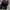 Nike Air Jordan 1 Low  photo 2