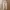 Cps long pants jeans Warna khaki photo 6