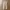 Cps long pants jeans Warna khaki photo 1