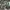 Nato Woodland Camouflage photo 3
