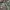 Nato Woodland Camouflage photo 2