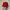  Ropehat Vintage DUO-FAST photo 1