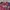 jersey new barcelona photo 3