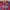 jersey new barcelona photo 5