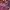 jersey new barcelona photo 6