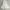 Rok panjang putih / white mermaid long skirt photo 1