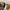 Vans Authentic Size 44 / 11 / 29cm photo 4
