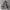 2000's Heavyweight Dark Gray Hoodie Boxy photo 4