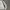 2000's Heavyweight Gray Hoodie Boxy photo 2