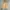 Cepo Military Parka Canvas Jacket photo 2