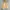 Cepo Military Parka Canvas Jacket photo 1