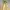 Cepo Military Parka Canvas Jacket photo 3
