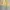 Cepo Military Parka Canvas Jacket photo 4