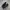 ADIDAS SUPERSTAR FULLBLACK photo 1