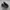 ADIDAS SUPERSTAR FULLBLACK photo 2