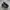  ADIDAS SUPERSTAR PURE COLOURFUL   photo 2