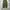 Tong cargo parachute balloon pants photo 1