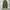Tong Cargo Parachute Balloon Pants