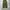 Tong cargo parachute balloon pants photo 3
