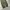 Tong cargo parachute balloon pants photo 5