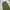Tong cargo parachute balloon pants photo 4