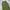 Tong cargo parachute balloon pants photo 2