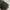 Carhartt Streetwear Bag Pria black photo 5