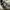 Nike air jordan low travis scott reverse mocha photo 9