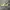 Nike air jordan low travis scott reverse mocha photo 3