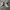Nike air jordan low travis scott reverse mocha photo 2