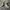 Nike Air Jordan Low Travis Scott Reverse Mocha