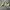 Nike air jordan low travis scott reverse mocha photo 1