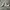 Nike Air Jordan Low Travis Scott Reverse Mocha
