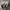 Nike air jordan low travis scott reverse mocha photo 7