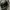 The North Face Sportswear Bag Pria multicolor photo 7