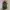 The North Face Sportswear Bag Pria multicolor photo 2