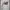 Kaos Long Sleeve New balance x Thisisneverthat grey photo 2
