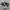 Converse Chuck Taylor All Star 70S High Black White photo 1