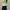 Pomelo Ruffle Green Top photo 2