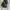 Prada Y2K Grunge Shoulder bag Wanita black photo 2