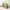 Kate Spade KS Desert Muse Rabbit Hilli Sling Bag photo 2